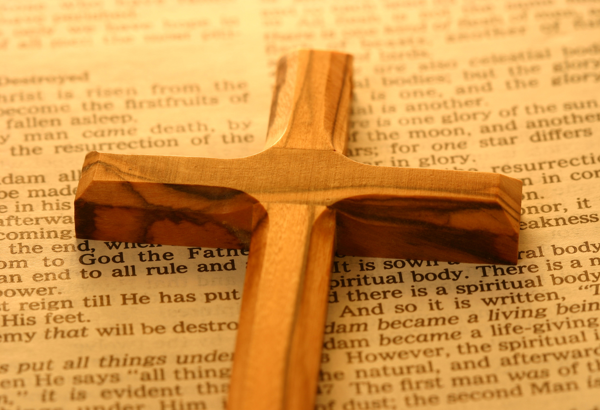 The B-I-B-L-E: What the Good Book Can Do for You